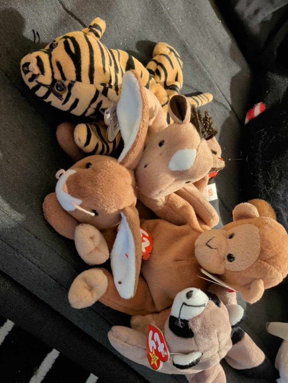 Ty Beanie Babies From Year 1995